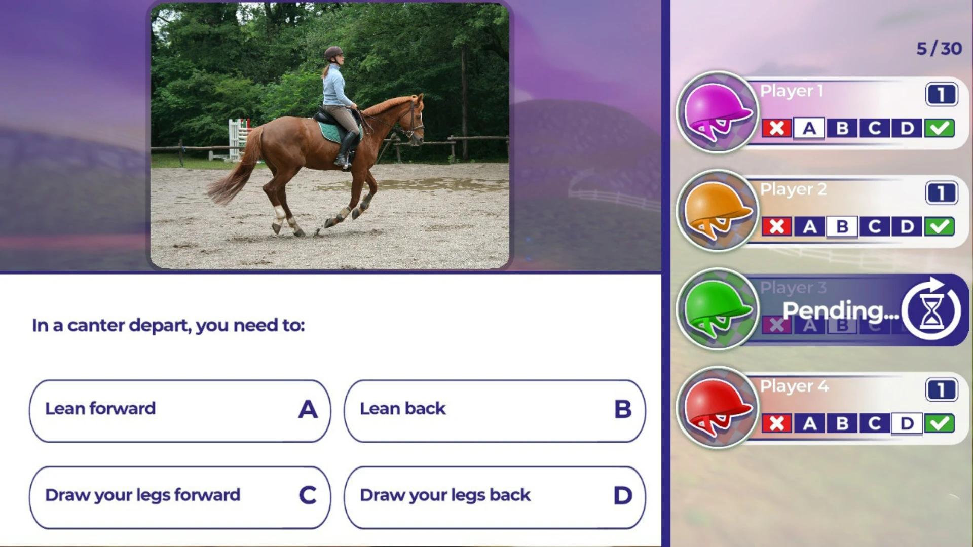 Купить Equestrian Training на ПК со скидкой – ключи игр дёшево в  интернет-магазине Rushbe