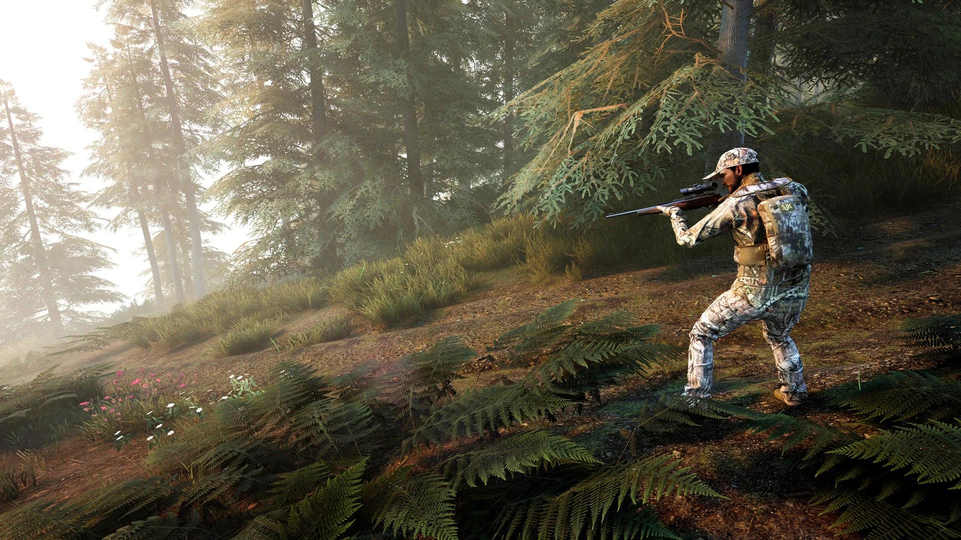 Купить Hunting Simulator 2: Bear Hunter Pack на ПК со скидкой – ключи игр  дёшево в интернет-магазине Rushbe