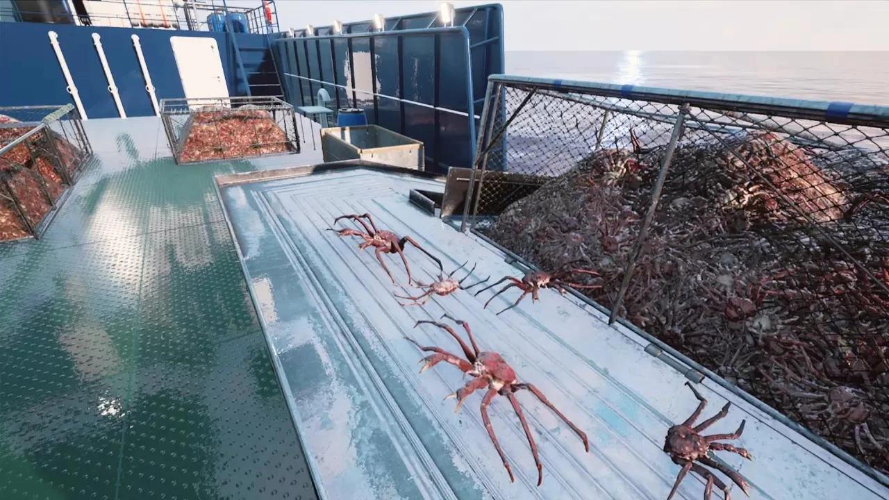 Купить Fishing: Barents Sea - King Crab на ПК со скидкой – ключи игр дёшево  в интернет-магазине Rushbe