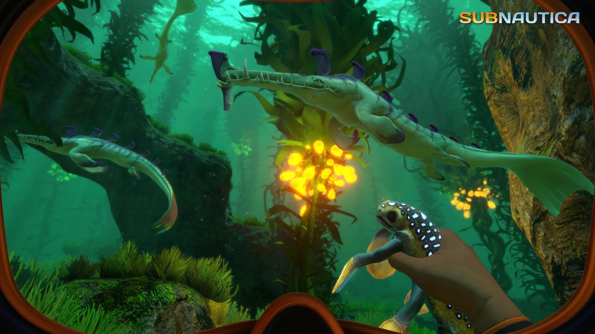 Купить Subnautica на ПК со скидкой – ключи игр дёшево в интернет-магазине  Rushbe