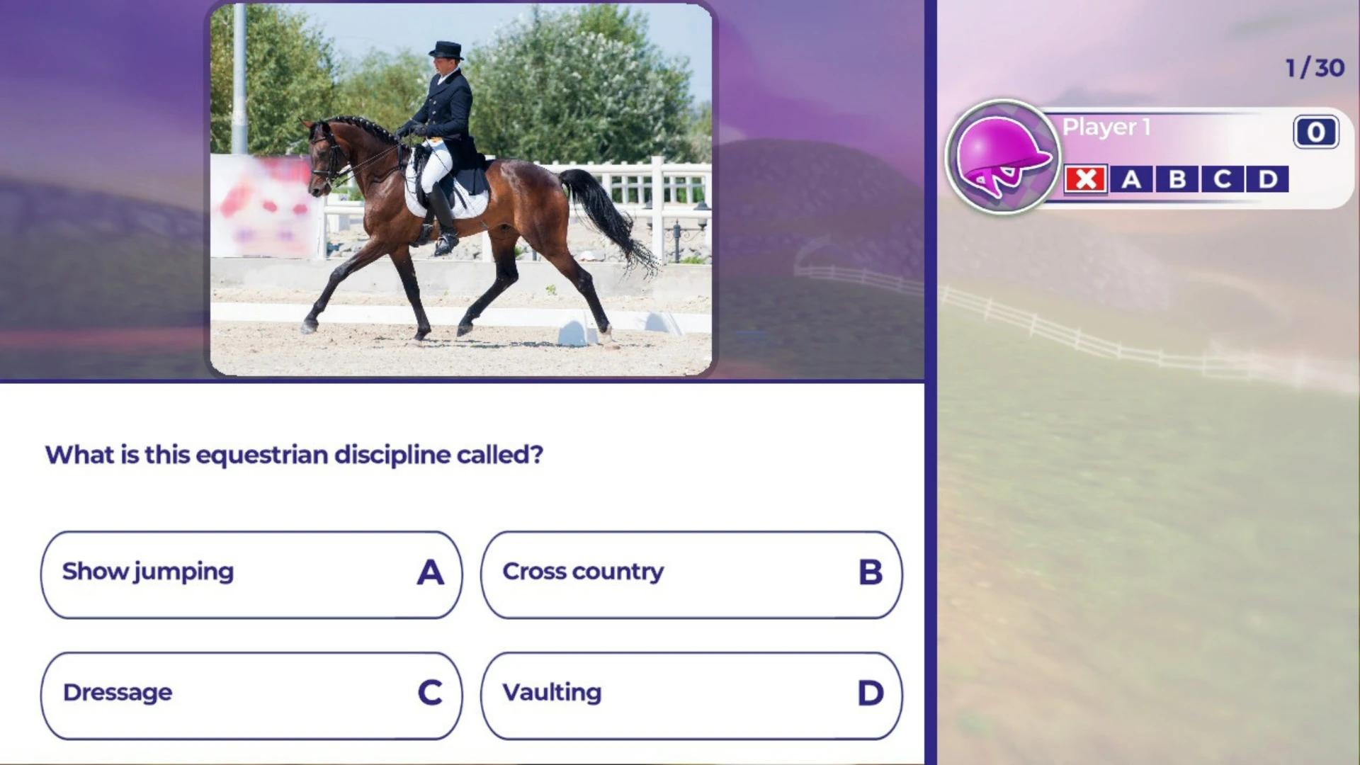 Купить Equestrian Training на ПК со скидкой – ключи игр дёшево в  интернет-магазине Rushbe