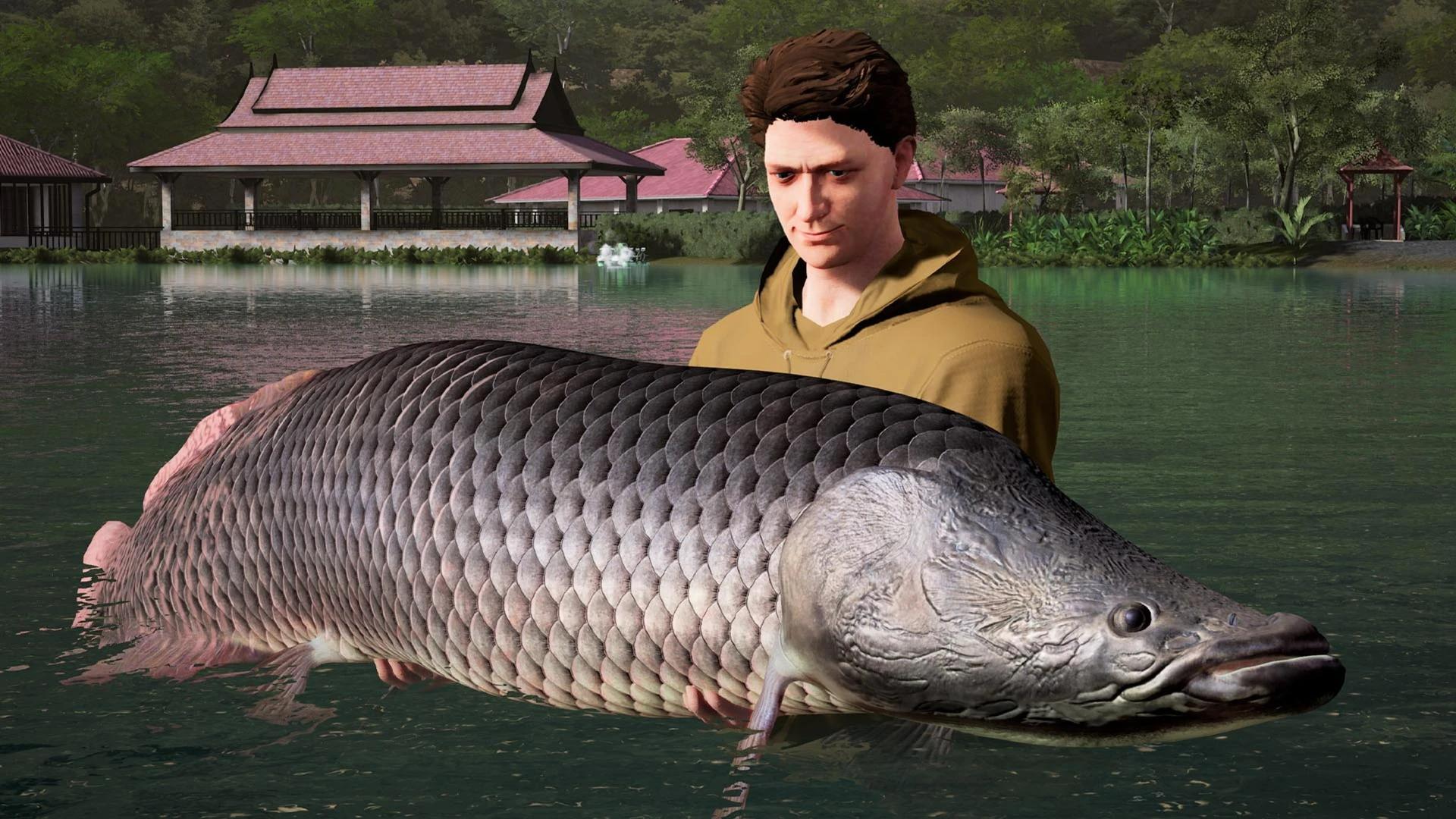 Купить Fishing Sim World: Pro Tour – Giant Carp Pack на ПК со скидкой –  ключи игр дёшево в интернет-магазине Rushbe