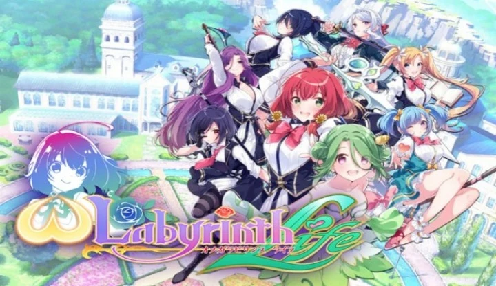 Купить Omega Labyrinth Life на ПК со скидкой – ключи игр дёшево в ...